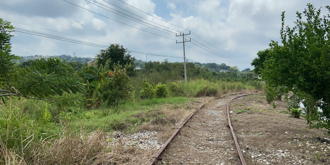 Activismo social frena nuevas obras del Tren Maya en Campeche