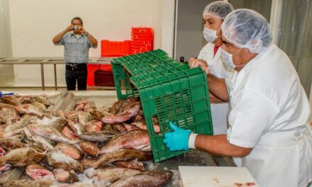 Inestabilidad política en EU agrava freno a exportaciones pesqueras de Yucatán