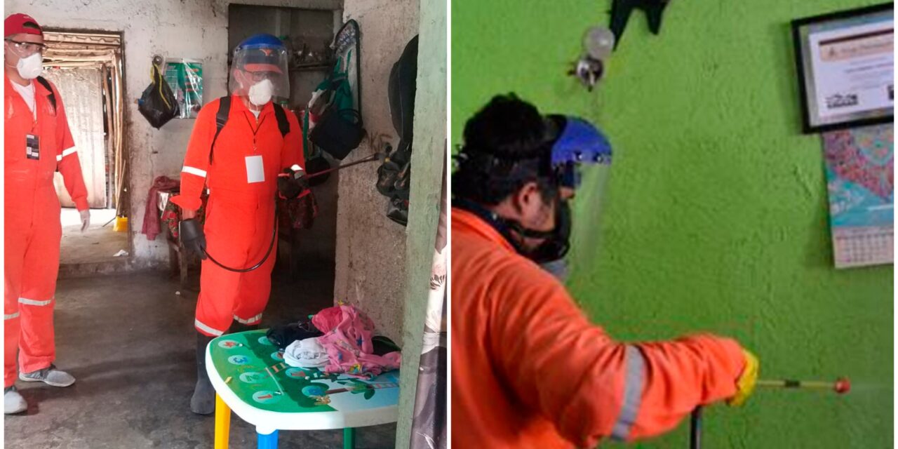 Hogares en Yucatán prueban innovación contra mosco de dengue, zika y chikungunya