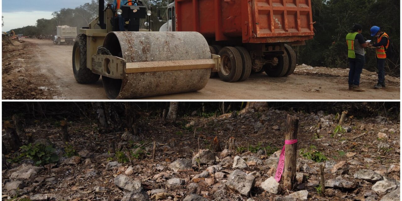 Pobladores de Chocholá, Mérida e Izamal logran suspensión a obras de Tren Maya