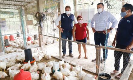 Mantiene Mérida apoyo al sector rural del municipio ante pandemia