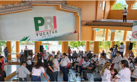 Al fin parió PRI-Yucatán: lista de precandidat@s a diputaciones locales