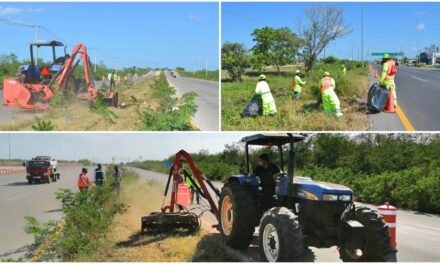 Conservación rutinaria de carreteras federales en Yucatán previo a vacaciones