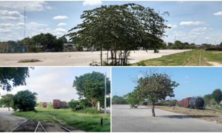 Gran Parque La Plancha, en proyecto de Tren Maya en centro de Mérida