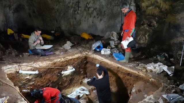Logran por primera vez analizar ADN nuclear neandertal conservado en cuevas