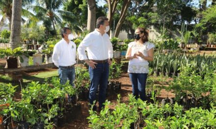 Cruzada Forestal 2021: 10 mil árboles más en Mérida