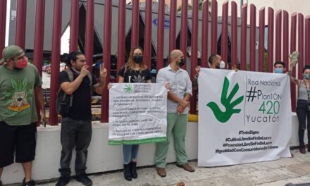 Fuman marihuana en público para festejar resolución de Suprema Corte