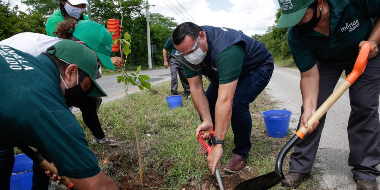 Se adhiere Mérida a Declaración de “Cities4Forests” por sostenibilidad y cambio climático