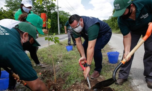 Se adhiere Mérida a Declaración de “Cities4Forests” por sostenibilidad y cambio climático