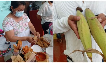 Esfuerzo de preservación de la milpa maya y del maíz criollo en Yucatán