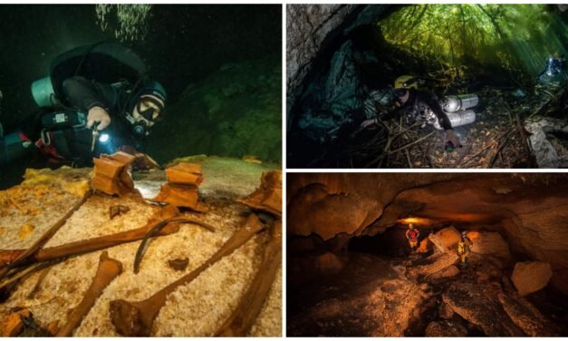 Suizos proponen mapeo y exploración de cenotes en Mérida