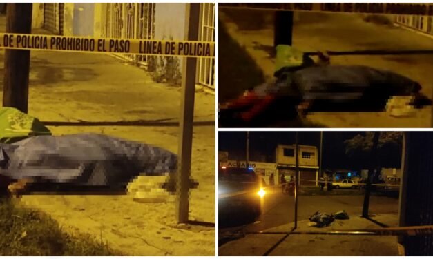 Fiel hasta el fin: perrito “Chihuahua”, con su ama muerta en vía pública