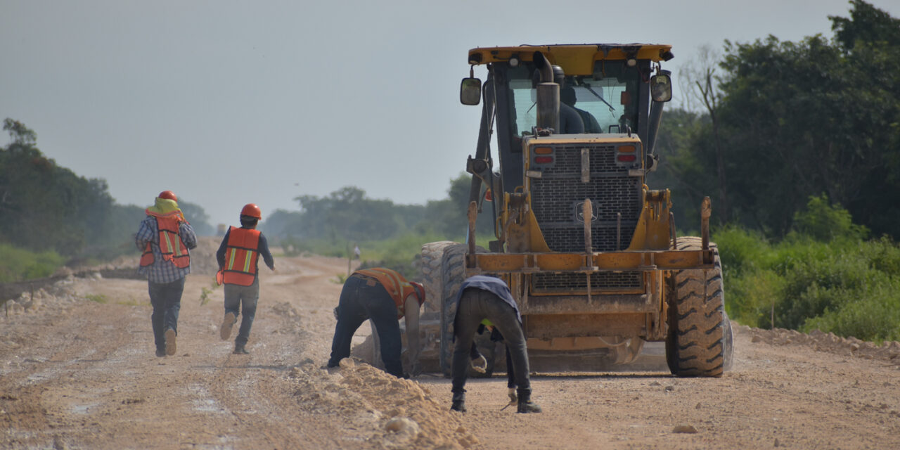 Deforestadas más de 144 hectáreas en trabajos del Tren Maya