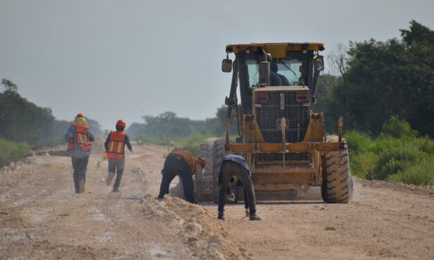 Deforestadas más de 144 hectáreas en trabajos del Tren Maya