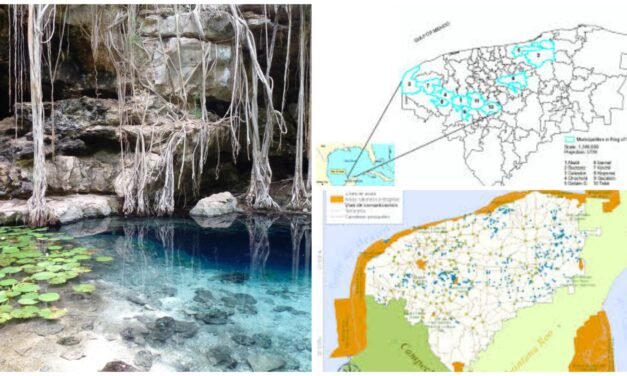 Amplían expertos estudios sobre contaminación en Anillo de Cenotes