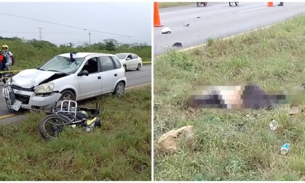 Motociclista atropellado y muerto en la carretera Mérida – Cancún