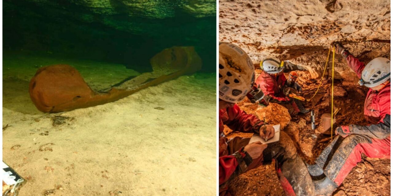 Canoa maya en cenote, reciente hallazgo en ruta del nuevo tren