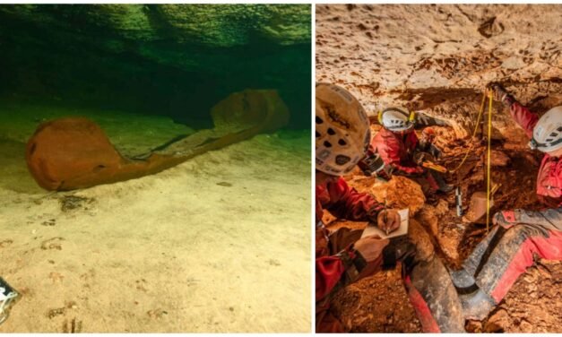 Canoa maya en cenote, reciente hallazgo en ruta del nuevo tren