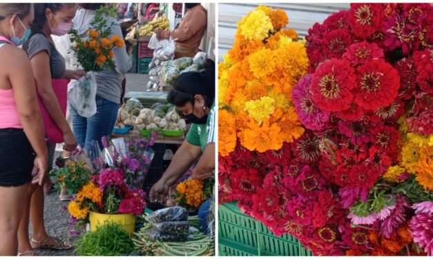 Llegan los difuntos y ‘suben al cielo’ las flores de muertos