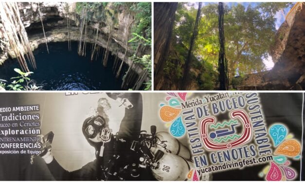 En limpieza de cenotes buzos se topan con sorpresas; Tercer Festival en puerta