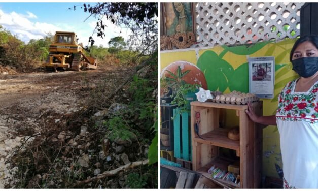 Saqueo de colmenas, otro frente de afectación para apicultores