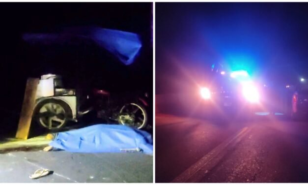Mueren atropellados en la carretera Mérida-Chetumal