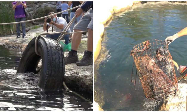 Cenote “Chen Ha”, comisaría Dzityá de Mérida, otra vez con saneamiento