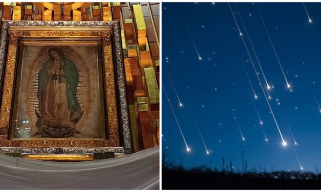 Yucatán: hoy, lluvia de estrellas del manto de La Virgen: la tilma y sus signos extraterrestres