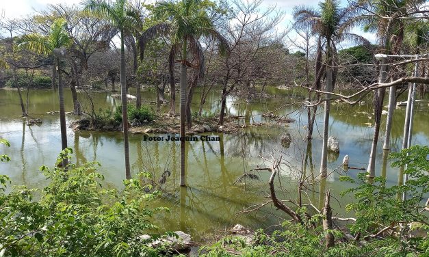 Yucatán: Baja inundación que dejó 2020, pero subsuelo sigue más lleno que con ‘isidore’
