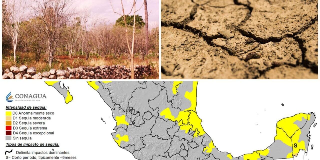 Pronósticos de sequías en península de Yucatán; ‘desajuste generalizado en la atmósfera’