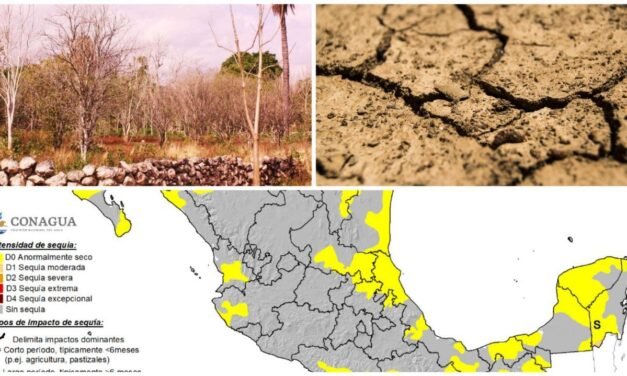 Pronósticos de sequías en península de Yucatán; ‘desajuste generalizado en la atmósfera’