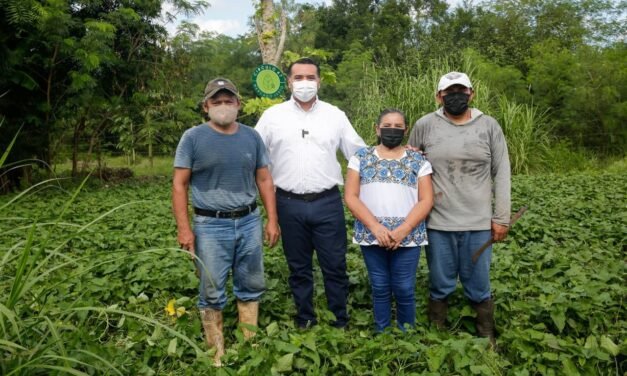 Mérida adopta proyecto regional “Desafíos Cero Neto COP26”