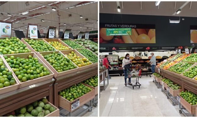 Agria realidad: limón sigue en las nubes, hasta 75 pesos kilogramo