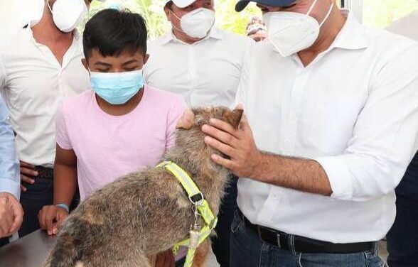 Activada Unidad Especializada en Delitos de Maltrato a Animal Doméstico