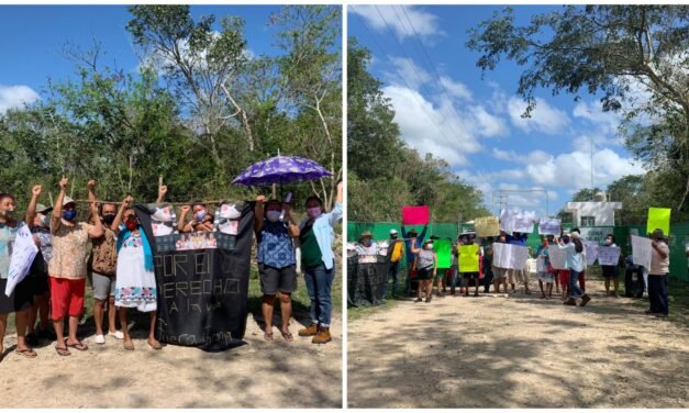 Tarda justicia federal en demanda contra mega granja en Sitilpech