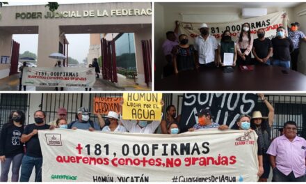 Testimonial de 181 mil firmas contra mega granja en Homún