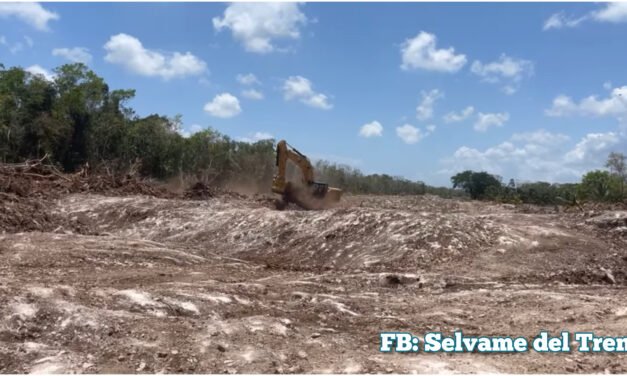 Queja por ‘paralización’ de procesos judiciales contra Tren Maya