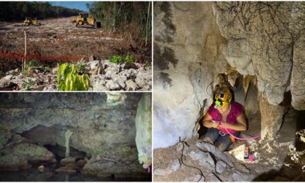 Vestigios arqueológicos y naturales debajo de trazo de Tren Maya