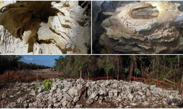 Sabía INAH de cueva en Tramo 5 de Tren Maya, en Quintana Roo