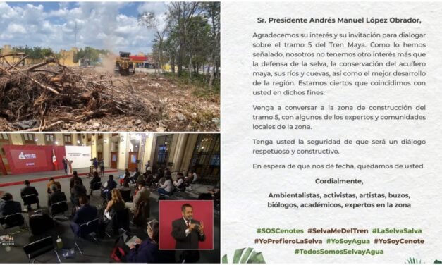 Invitación a diálogo en Tramo 5 Tren Maya: rechaza AMLO asistir