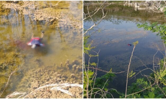 Cuerpo flotando en aguada entre límites de ejidos Conkal y Chicxulub Pueblo