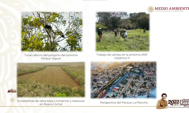 La Plancha y reserva Nuevo Uxmal, ‘cara ecológica’ de Tren Maya