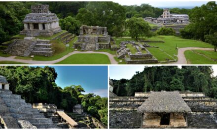 Sitio maya de Palenque, de nuevo con acceso a visitantes
