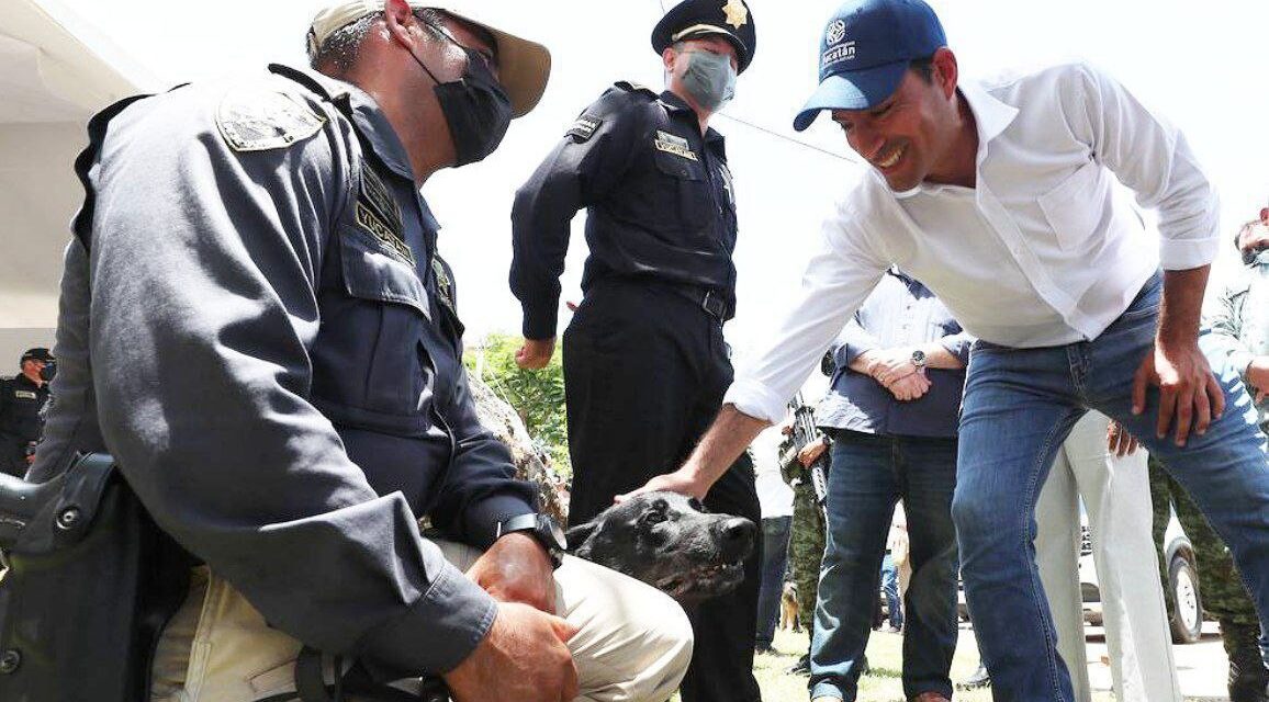 Elementos caninos de la policía Yucatán, con casas especiales
