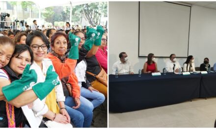 Escasa respuesta a piloto de IMSS-Yucatán para trabajadores del hogar