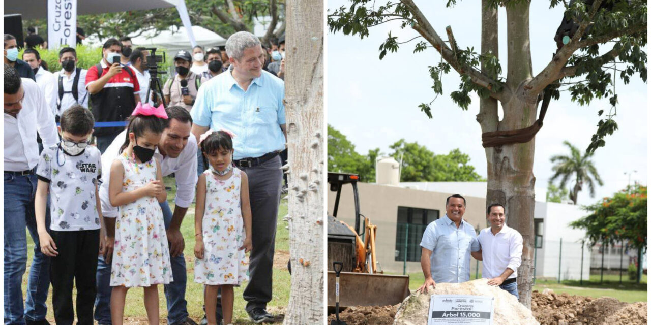 Con 15 mil árboles este año en Mérida, clausuran la Cruzada Forestal 2022