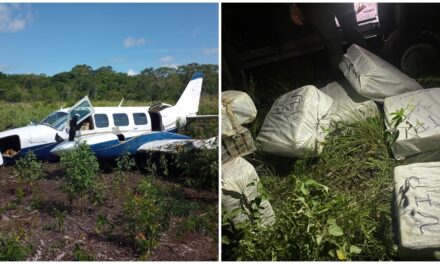 En Campeche: Ejército y Fuerza Aérea aseguran avioneta y cocaína