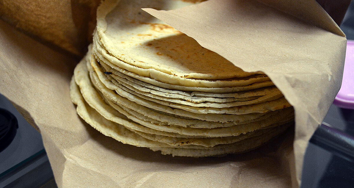 Alza histórica: tortillas se venden hasta en 30 pesos kilogramo en Mérida