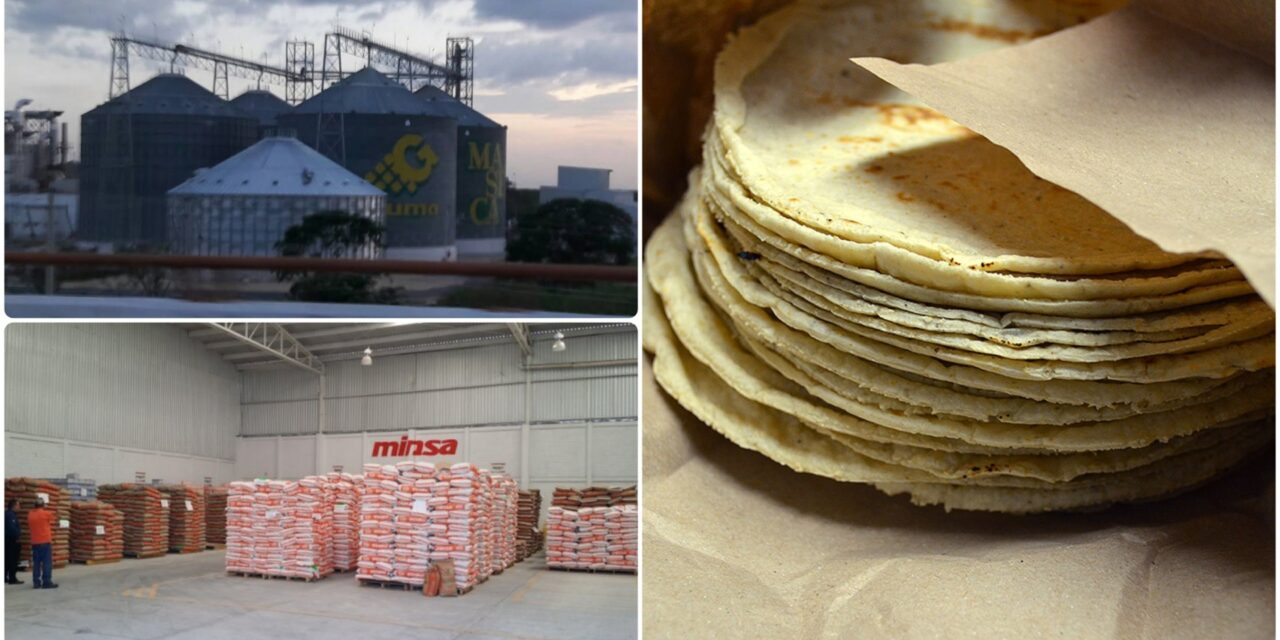 Precios de tortillas y básicos: aprietan a industriales y distribuidores