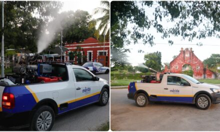 Segundo “barrido” contra moscos en Mérida, desde el próximo lunes